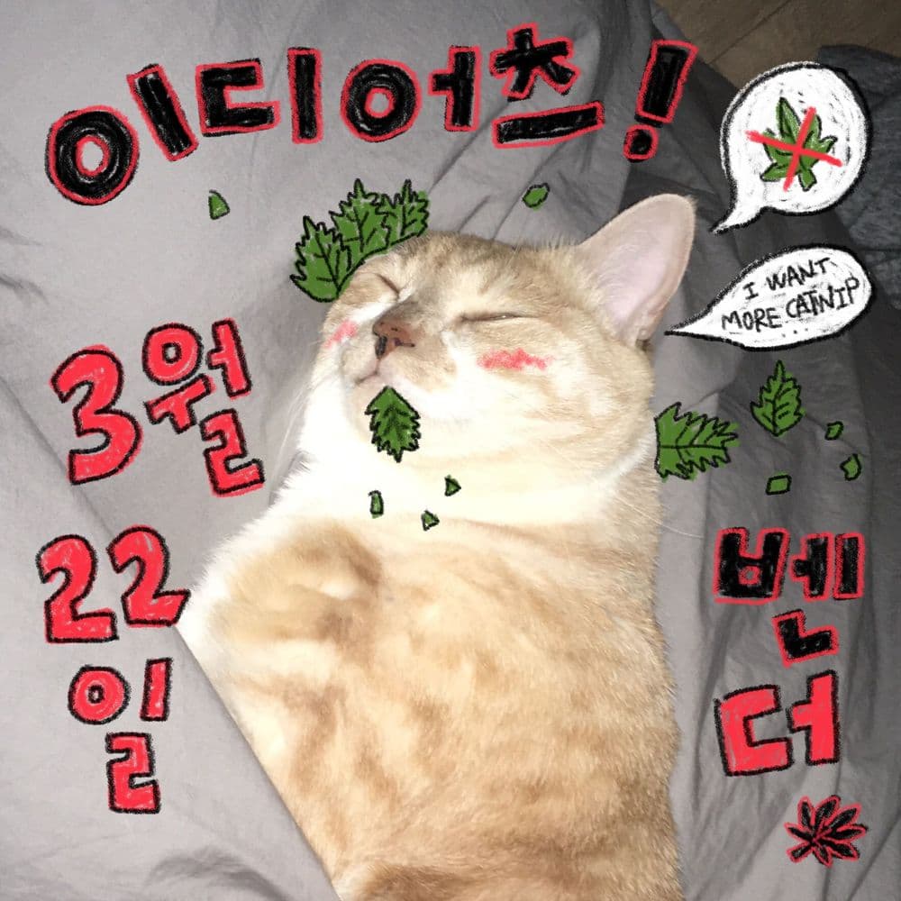 THIS IS NOT DETOUR 공연 포스터