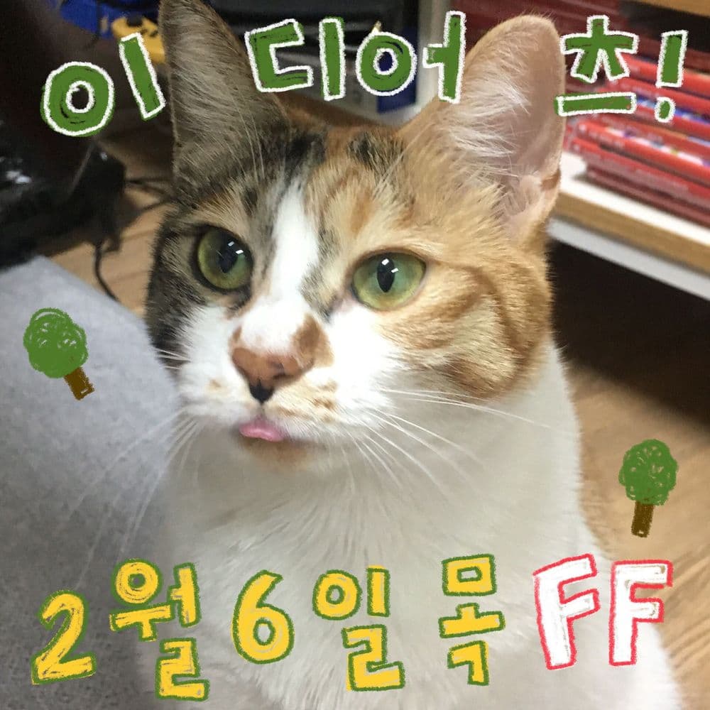 LIVE in FEB 공연 포스터