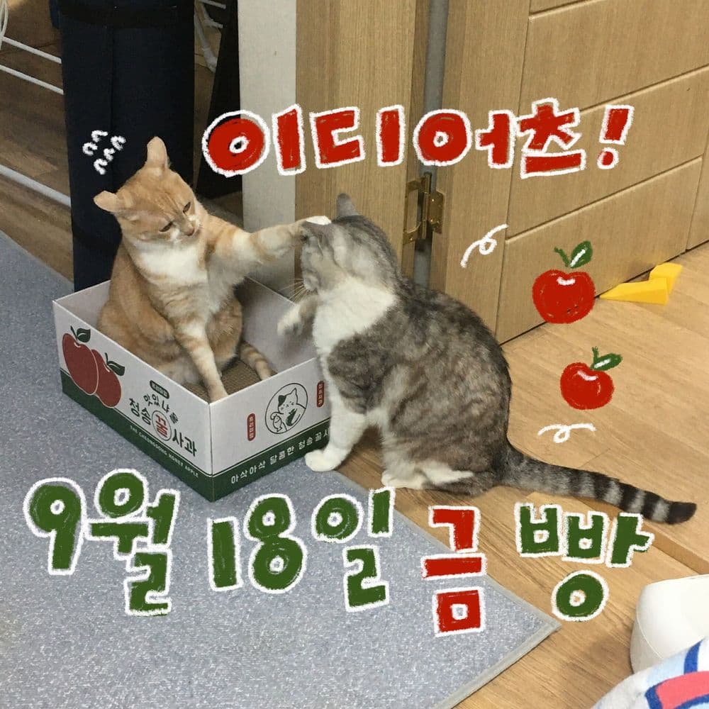 9월 빵 공연 공연 포스터