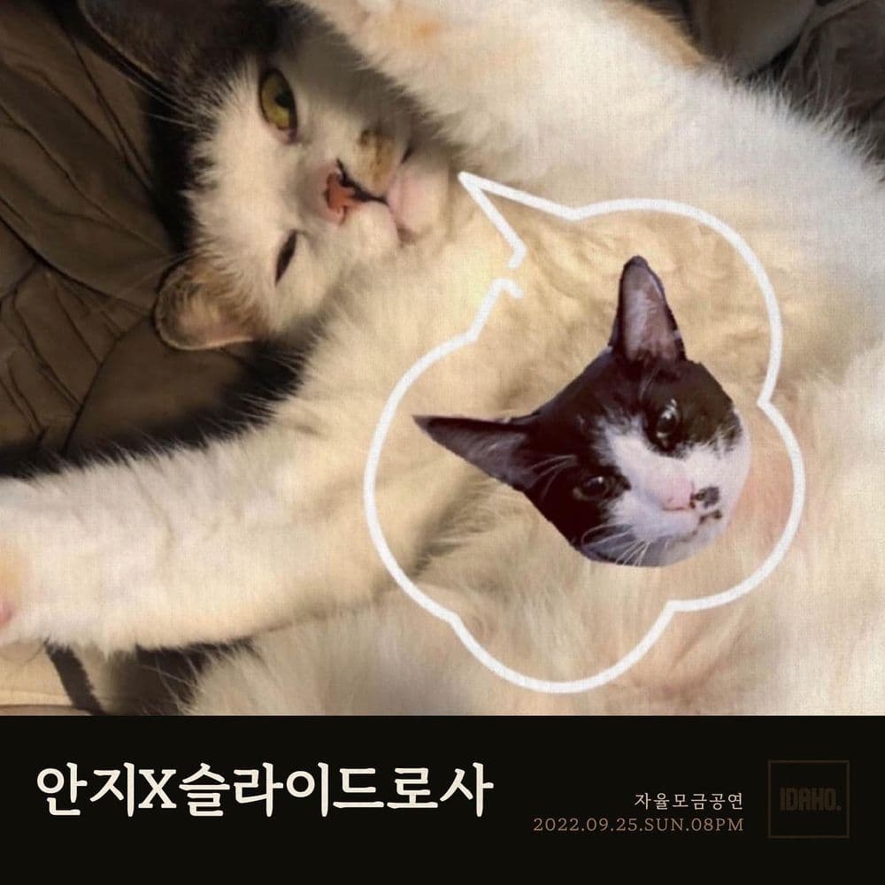 2022년 9월 25일 카페 아이다호 공연 - 안지X슬라이드로사 공연 포스터