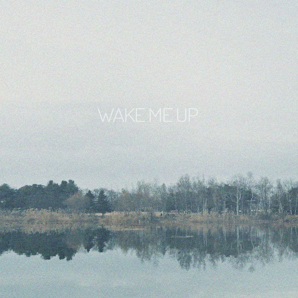 뮤지션 이더의 앨범 Wake Me Up 아트 커버