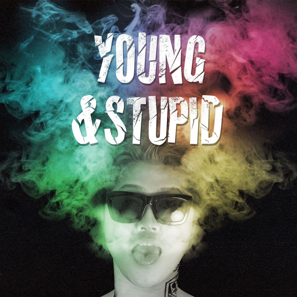 뮤지션 메리헤이데이의 앨범 Young And Stupid