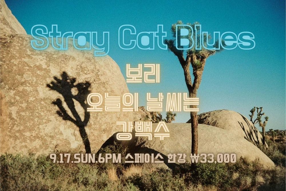 Stray Cat Blues 공연 포스터