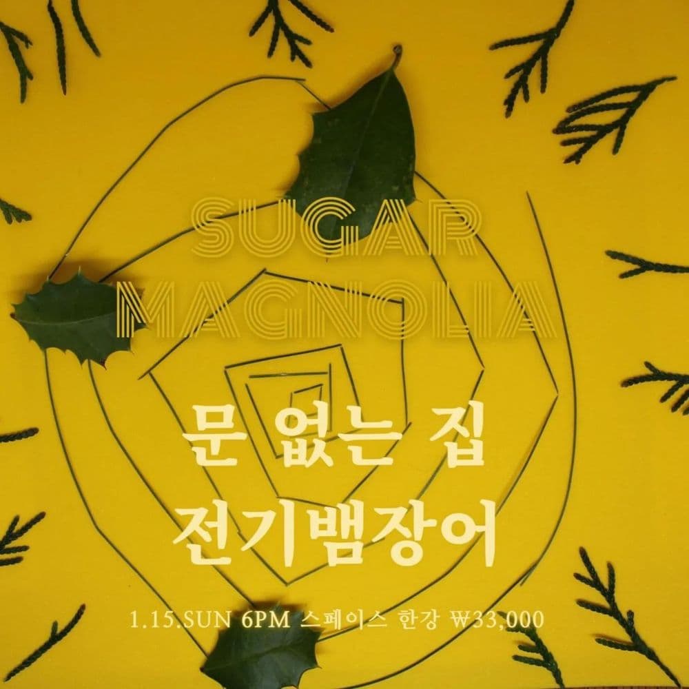 SUGAR MAGNOLIA 공연 포스터