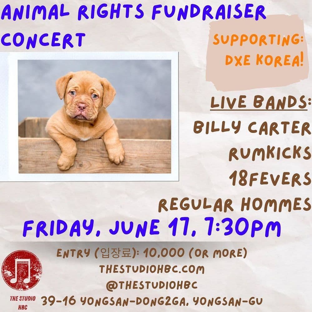 Animal Rights Fundraiser Concert! 공연 포스터