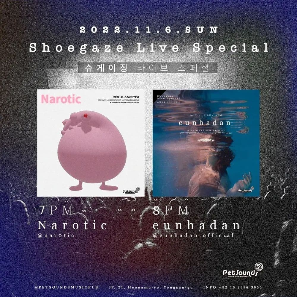 펫사운즈 인디라이브 - 나로틱, 은하단 공연 포스터