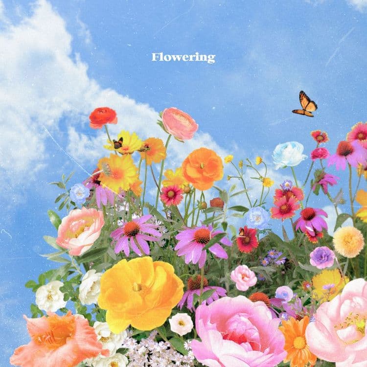 뮤지션 이더의 앨범 Flowering