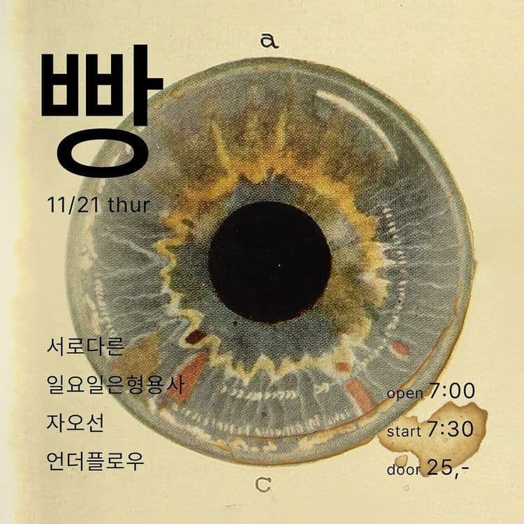 2024년 11월 클럽빵 공연 공연 포스터