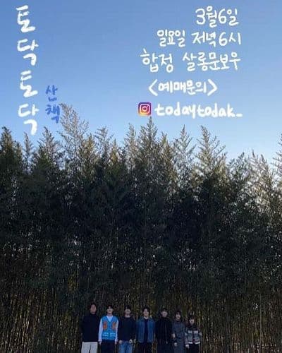 <토닥토닥: 산책> 공연 포스터