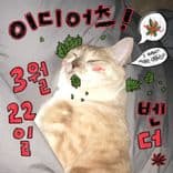THIS IS NOT DETOUR thumbnail 1