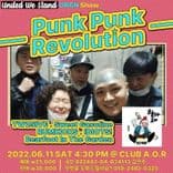 Punk Punk Revolution thumbnail 7