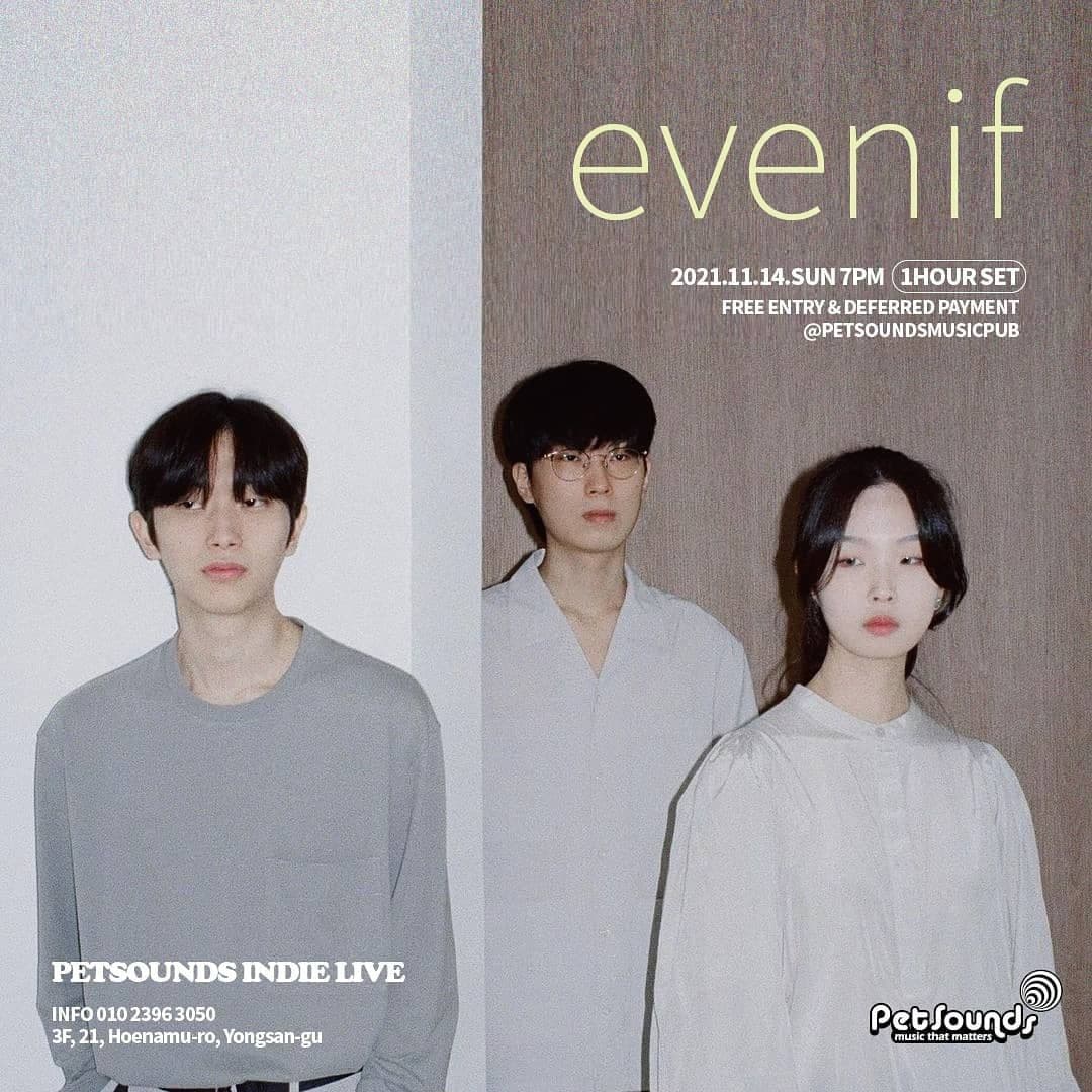 펫사운즈 인디라이브 - 이븐이프