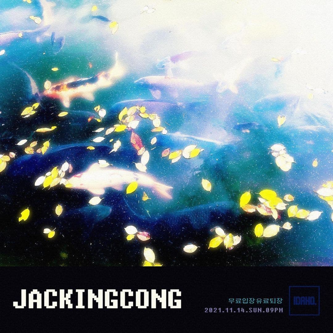 2021년 11월 14일 카페 아이다호 - 잭킹콩
