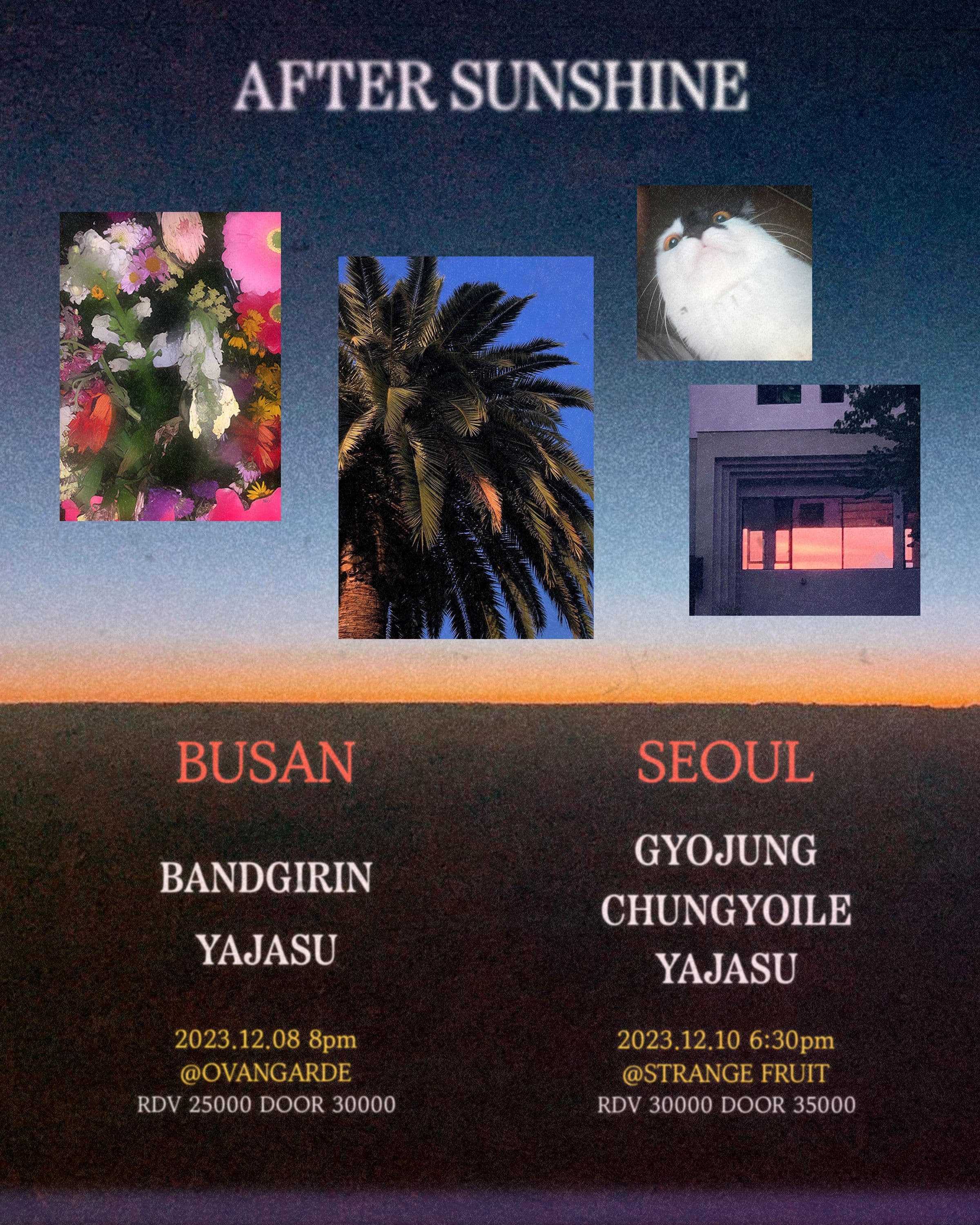 야자수 YAJASU 'AFTER SUNSHINE' 발매 공연  - 부산