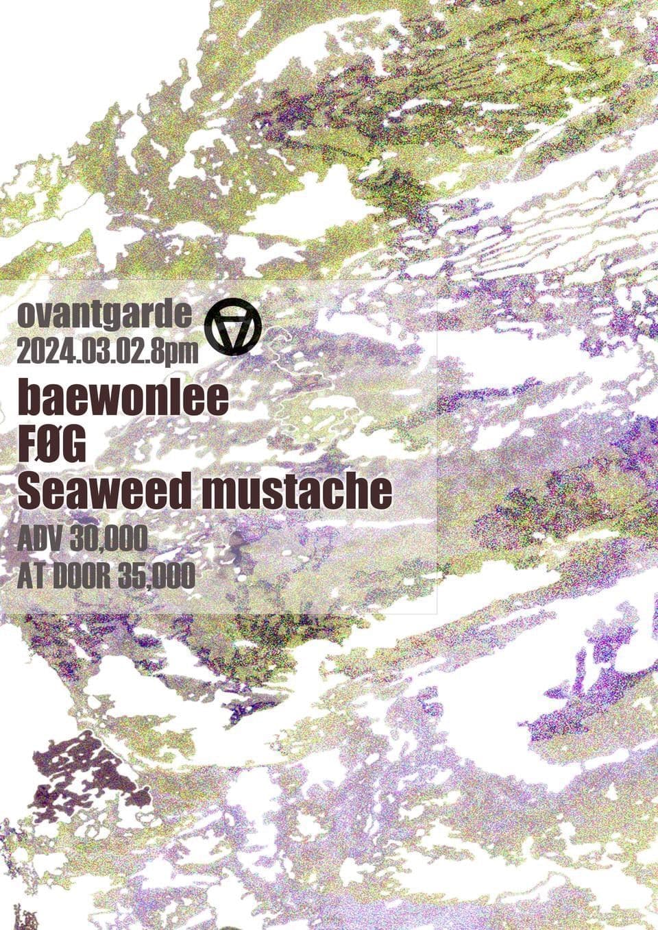 Sup for more, No sophomore