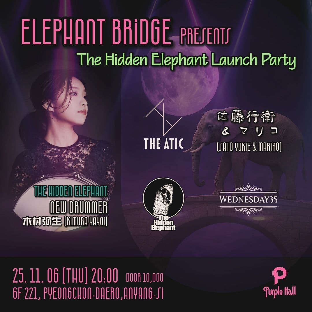 The Hidden Elephant Launch Party