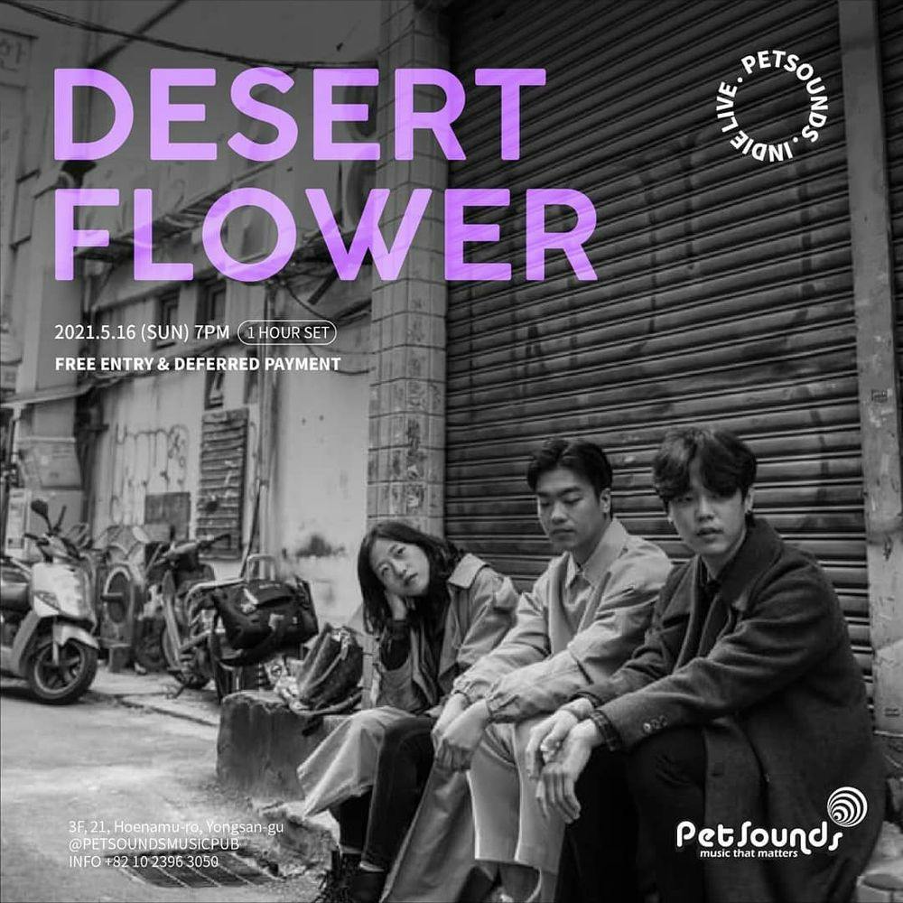 펫사운즈 인디라이브 - 사막꽃 공연 포스터