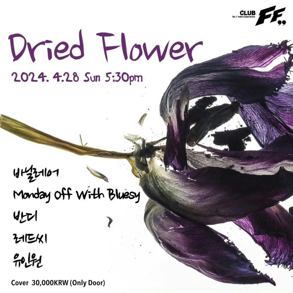 Dried Flower 공연 포스터