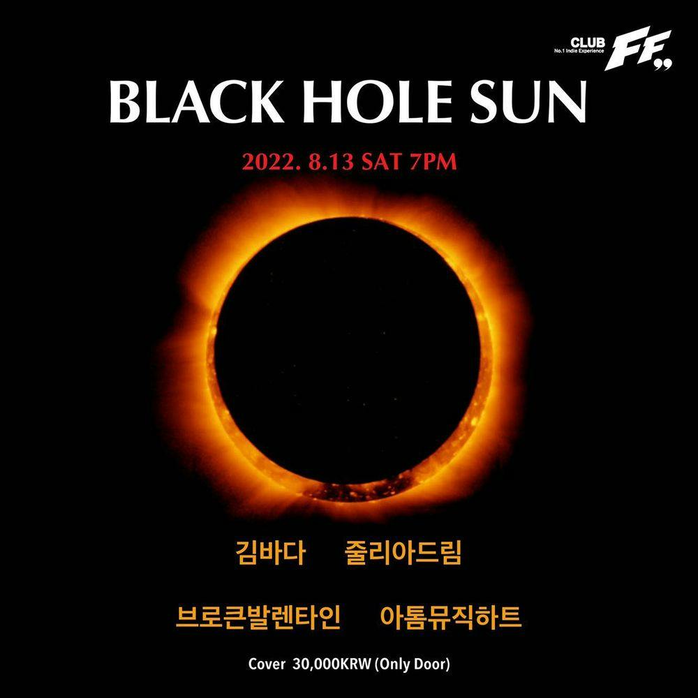 Black Hole Sun Live poster
