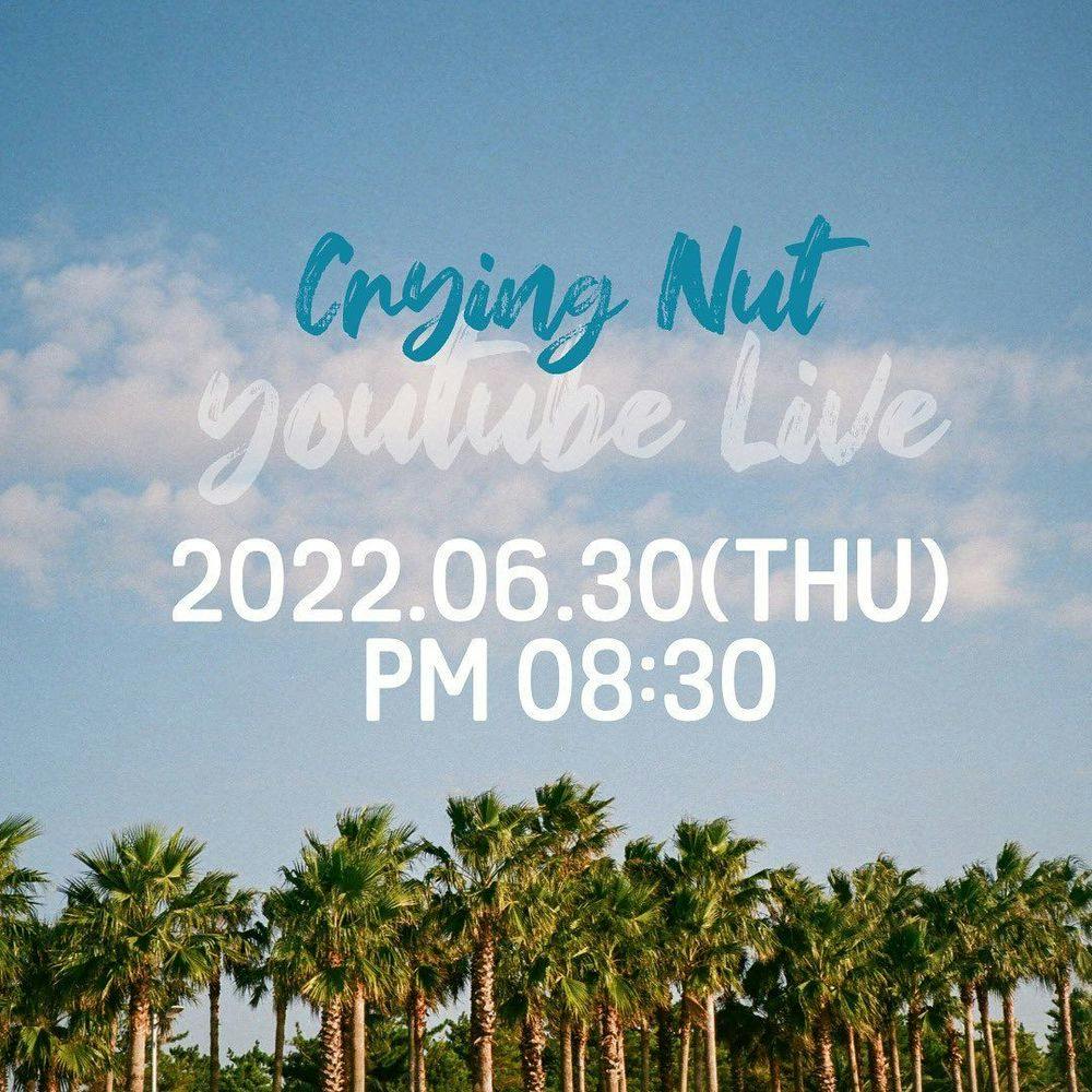Crying Nut Youtube Live 공연 포스터
