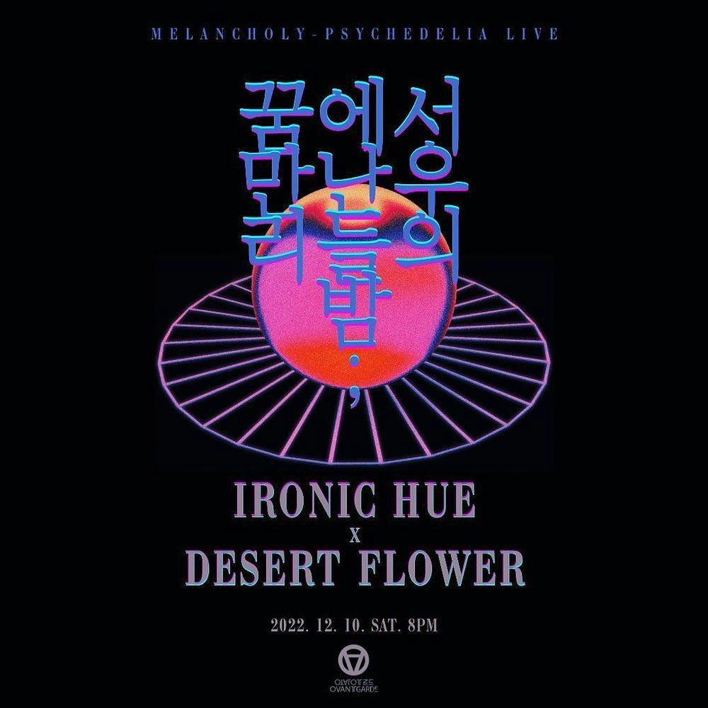 꿈에서 만난 우리들의 밤 - 아이러닉 휴 X 사막꽃 공연 포스터
