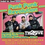 Punk Punk Revolution thumbnail 6